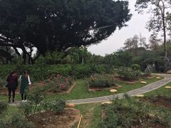 -人民公园(罗湖区)