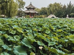 -莲池书院博物馆