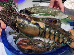 -半岛听涛蒸汽海鲜自助(K11店)
