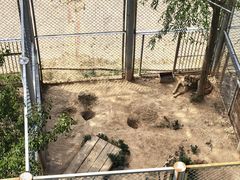 -青藏高原野生动物园