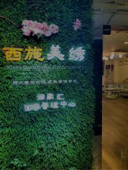 -西施无菌半永久纹绣眉眼影唇轻增发纹发际线