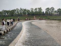-洨河生态公园