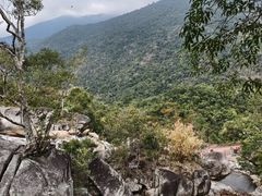 -海南霸王岭国家森林公园