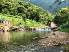 -广州市石门国家森林公园