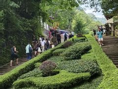 -青城山