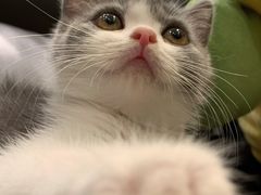 -1013 PET SHOP 宠物商店(近铁城市广场店)