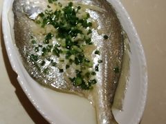 -美点双辉(东方汇店)