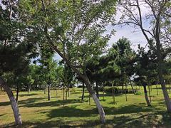 -刘公岛景区