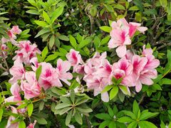-花都广场