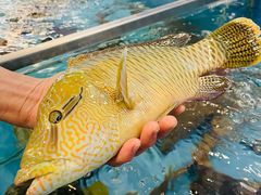 -大天然酒店(军民路店)