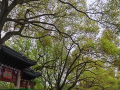 -汇龙潭