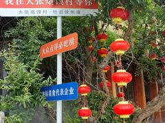 -大张烙馍村(泉山店)