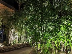 -三江森林温泉度假区