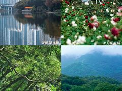 -四海公园(南山区)