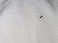 -西双版纳融创皇冠假日度假酒店