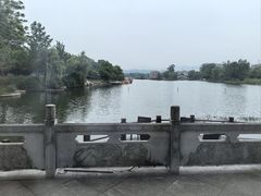 -漳河青花椒鱼头火锅