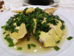 -凤城礼记鱼翅海鲜酒家(新马路总店)