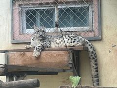 -青藏高原野生动物园