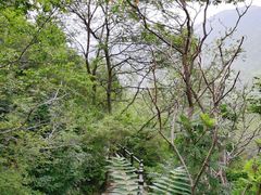 -府君山公园