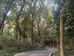 -广州雕塑公园