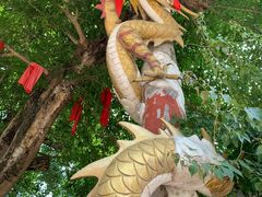-黄龙溪古镇-古龙寺