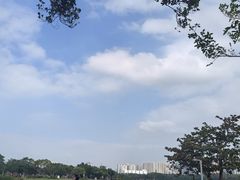 -万绿园
