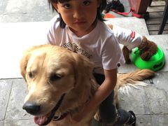 -百好乐宠物友好餐厅(朝外大街店)