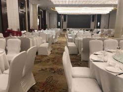 宴会厅-成都世外桃源酒店-宴会厅·草坪婚礼·会议活动