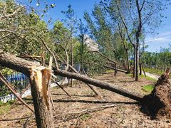 -春花秋色城市公园