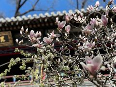 -潭柘寺景区
