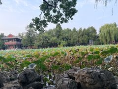 -莲池书院博物馆