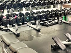 -健身专家Wellness Experts