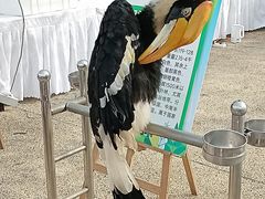 -大明宫国家遗址公园·御道广场