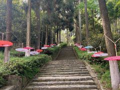 -莫干山风景区