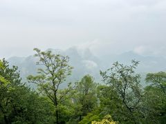 -青城山