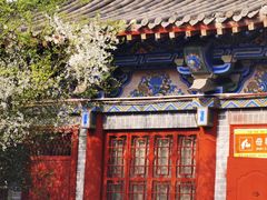 -洛阳白马寺