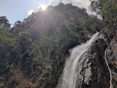 -姑婆山旅游区
