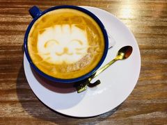 -猫色咖啡·猫咖