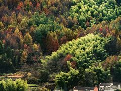 -塔川景区