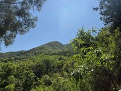 -阳台山自然风景区