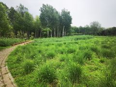 -东郊湿地公园