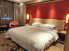 -南京维景国际大酒店(南京博物院店)