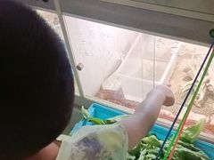-嘉兴海底世界