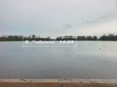 -海德公园