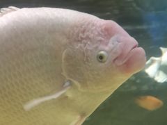 -西安曲江海洋极地公园