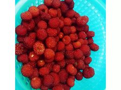 -锡笼记·无锡小笼(人民路店)