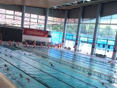 -南山文体中心-游泳馆