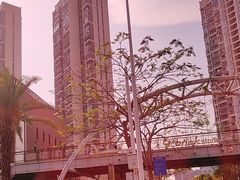 -华侨大学(厦门校区)