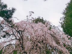 -西安青龙寺遗址景区