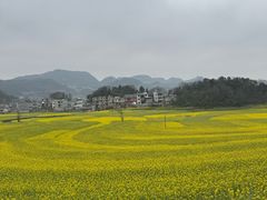 -牛街螺丝田
